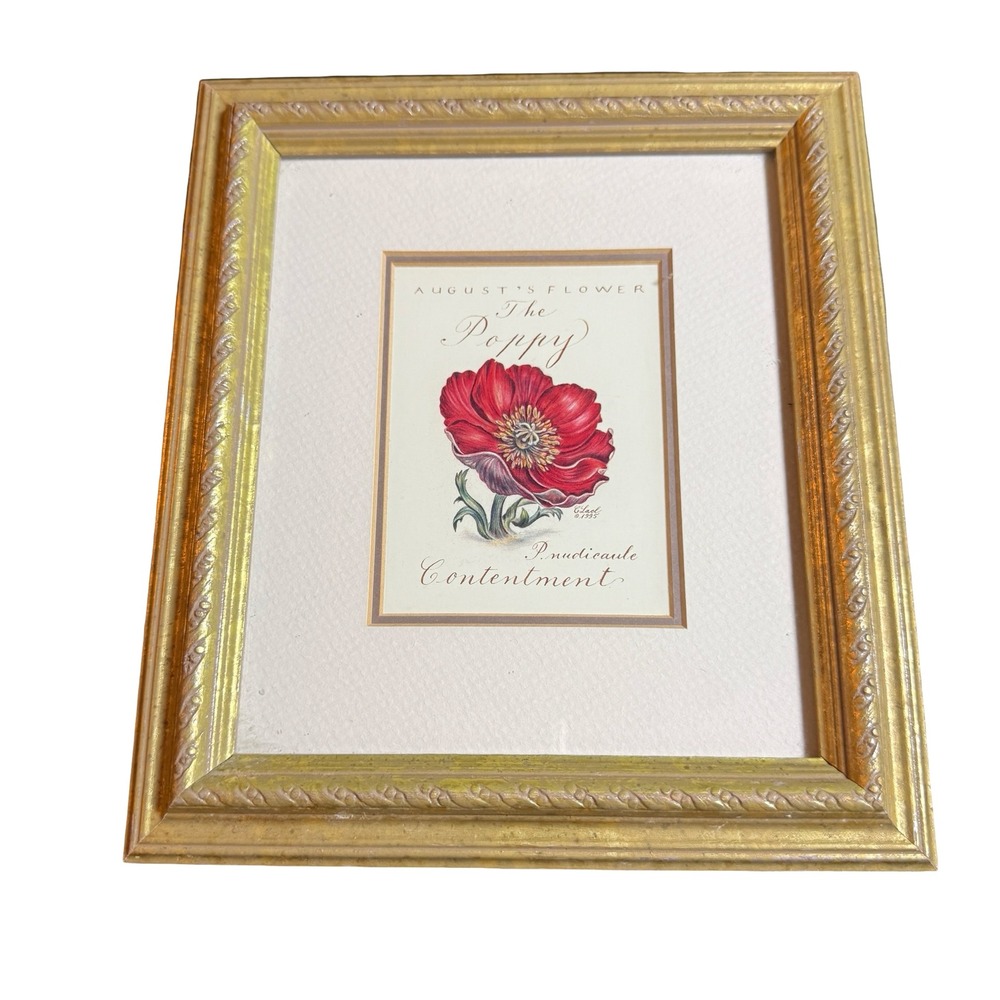C Lael The Poppy August Birthday Flower Botanical Art Gold Framed Print 8x10 VTG